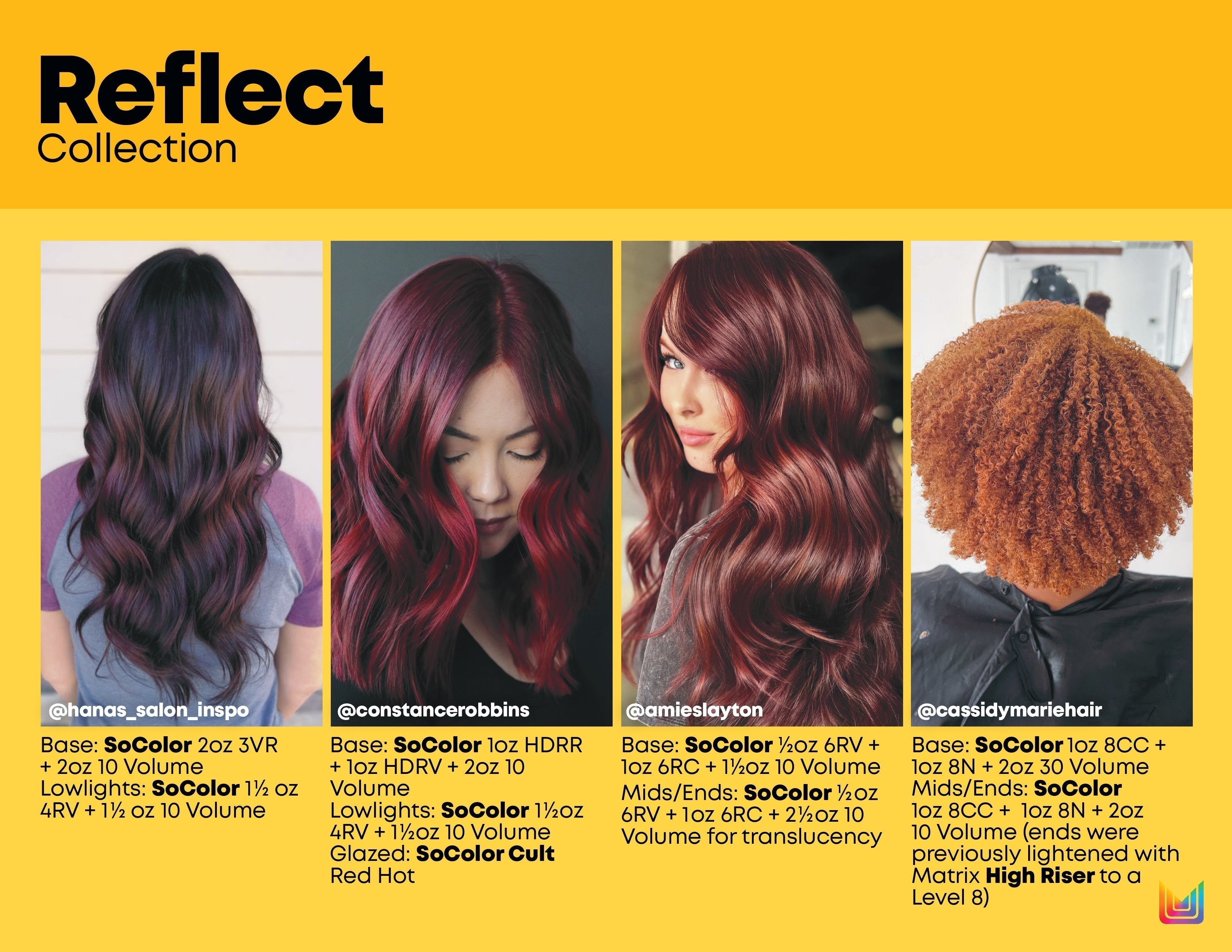 Application of Matrix SoColor SR by professional hairstylist